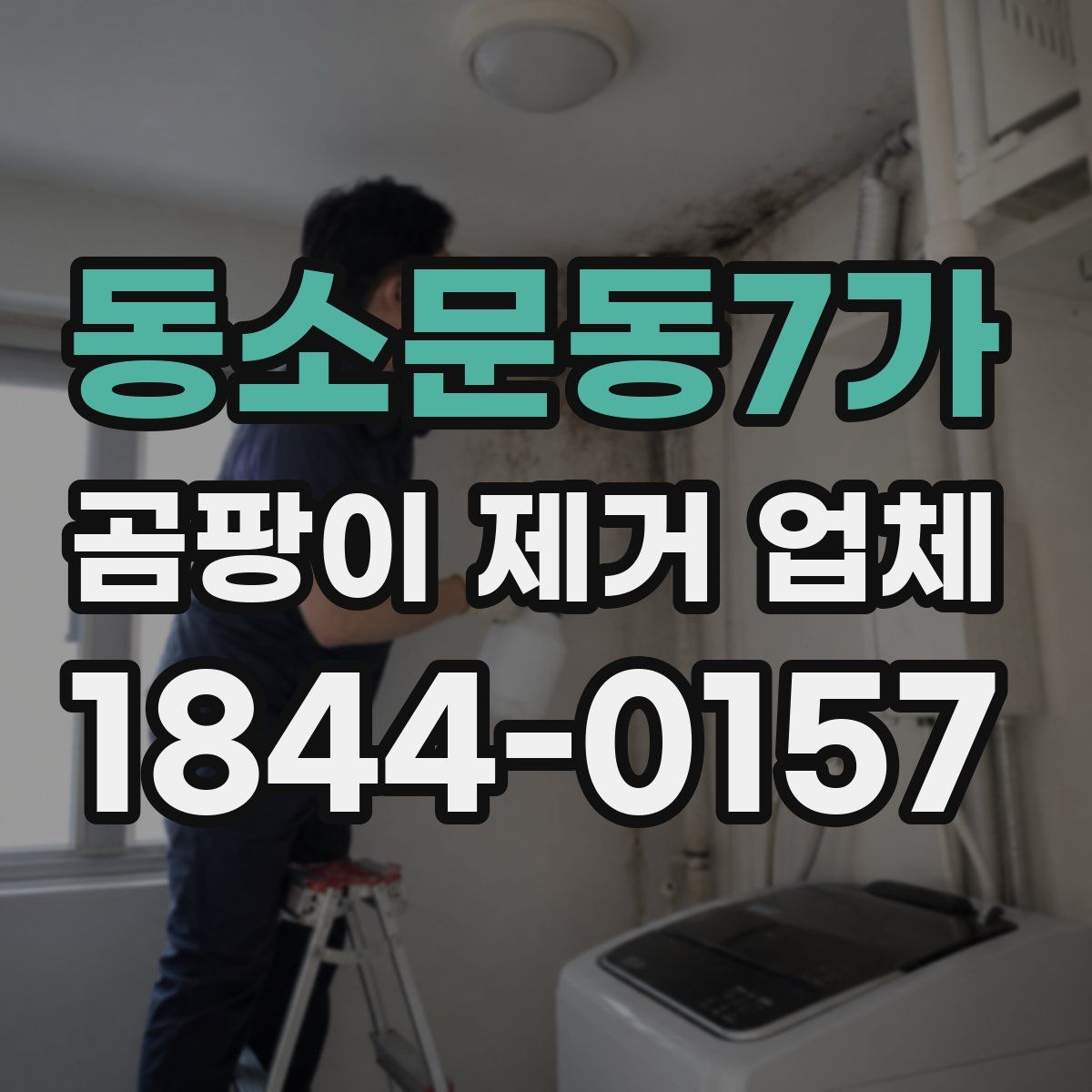 동소문동7가 곰팡이 제거 업체