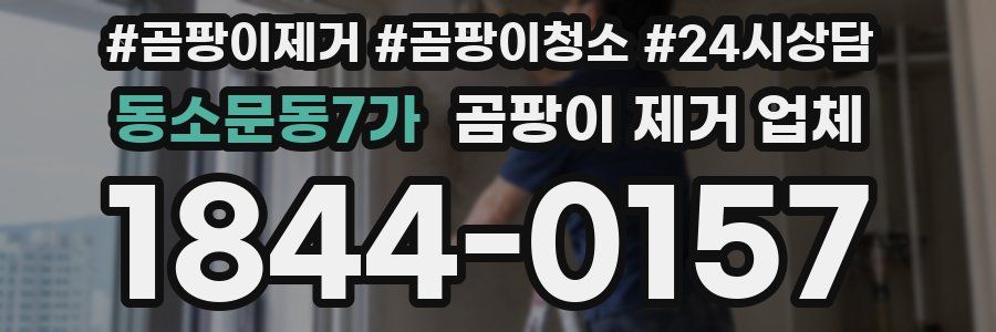 동소문동7가 곰팡이 제거 업체