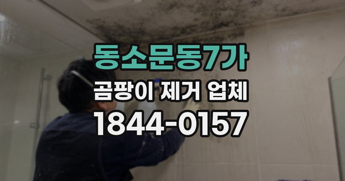 동소문동7가 곰팡이 제거 업체