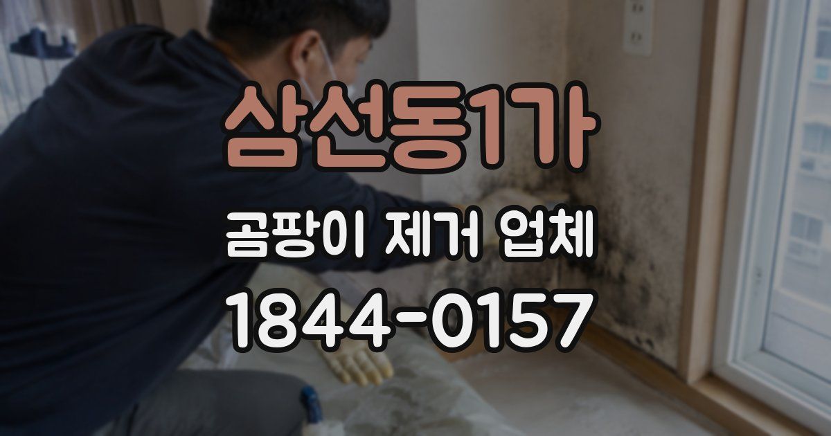 삼선동1가 곰팡이 제거 업체