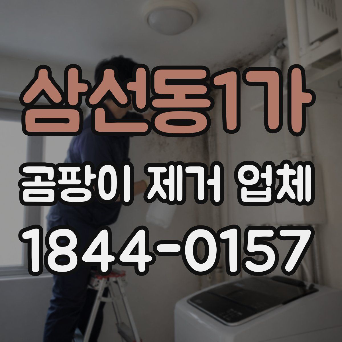 삼선동1가 곰팡이 제거 업체