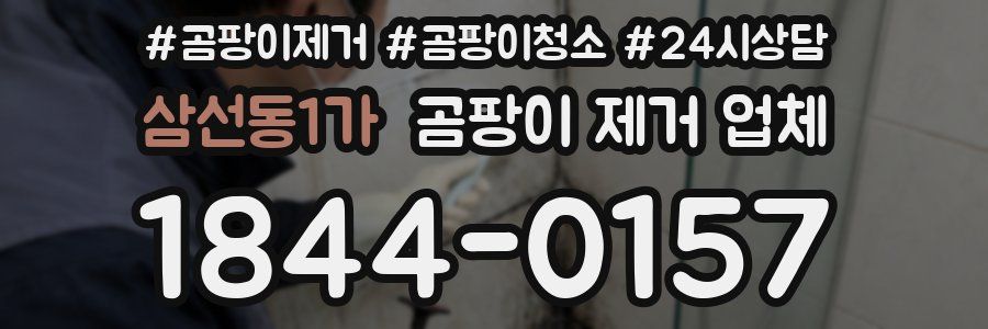 삼선동1가 곰팡이 제거 업체