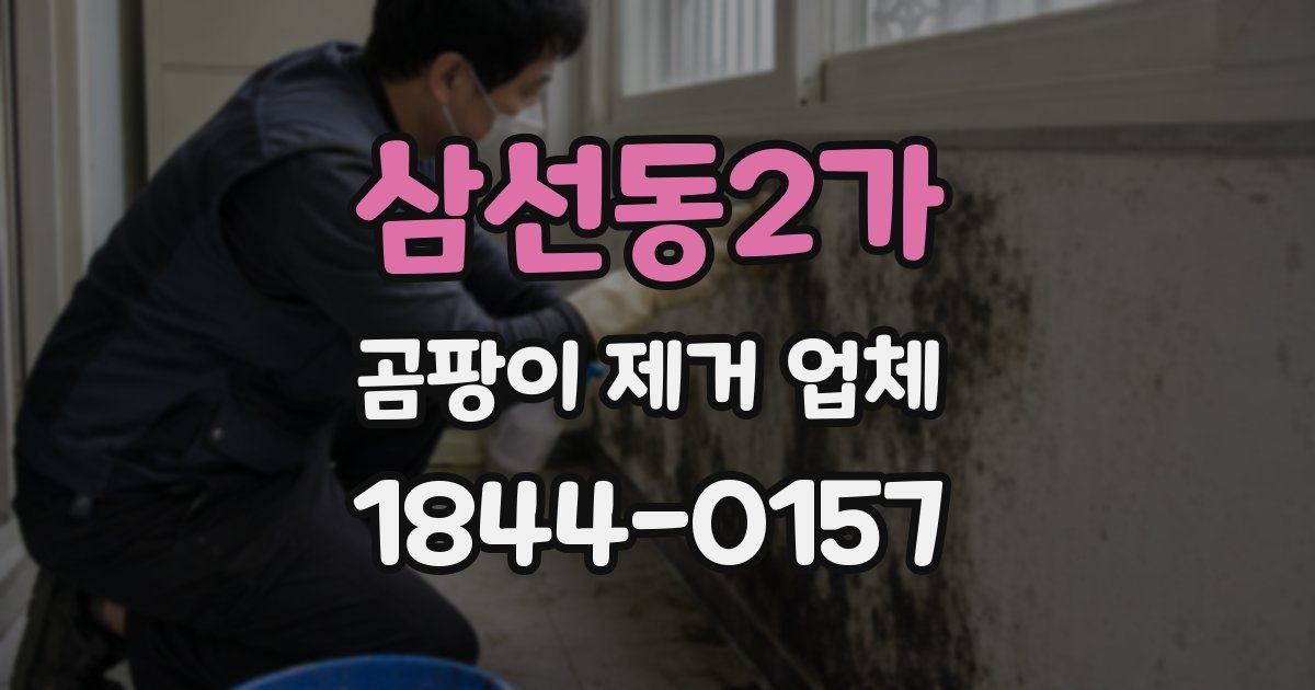 삼선동2가 곰팡이 제거 업체