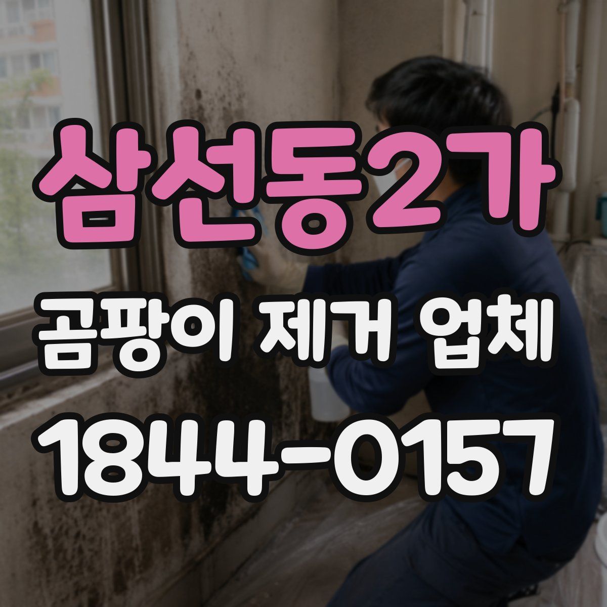삼선동2가 곰팡이 제거 업체