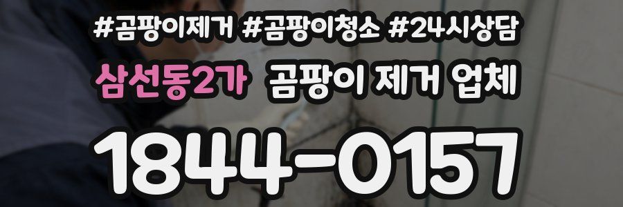 삼선동2가 곰팡이 제거 업체