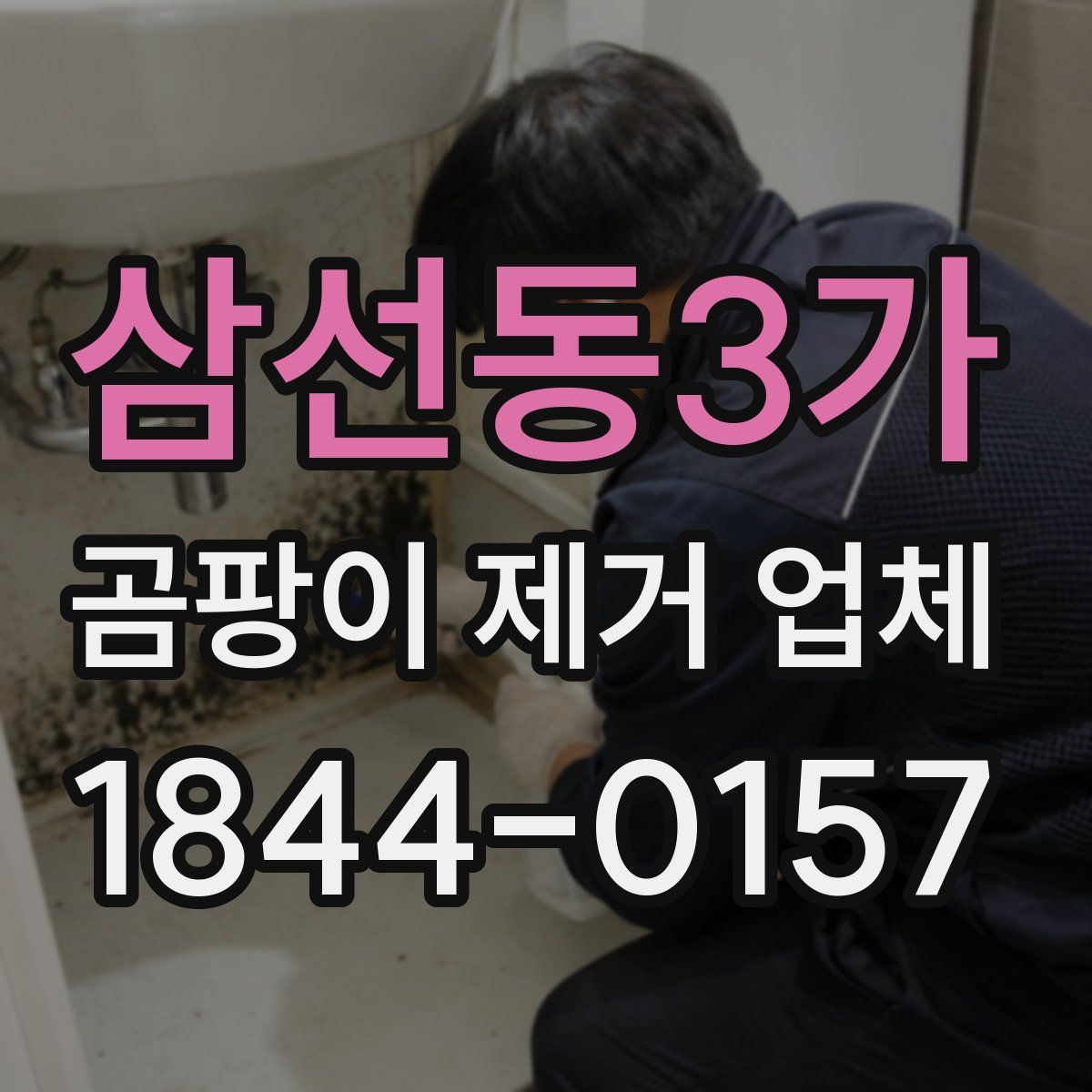 삼선동3가 곰팡이 제거 업체