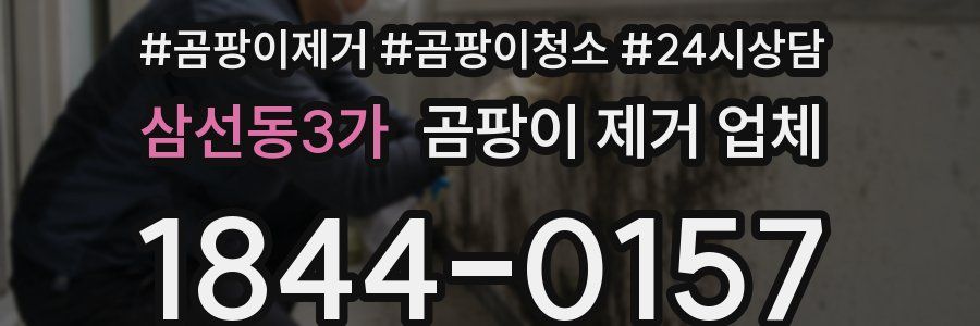 삼선동3가 곰팡이 제거 업체