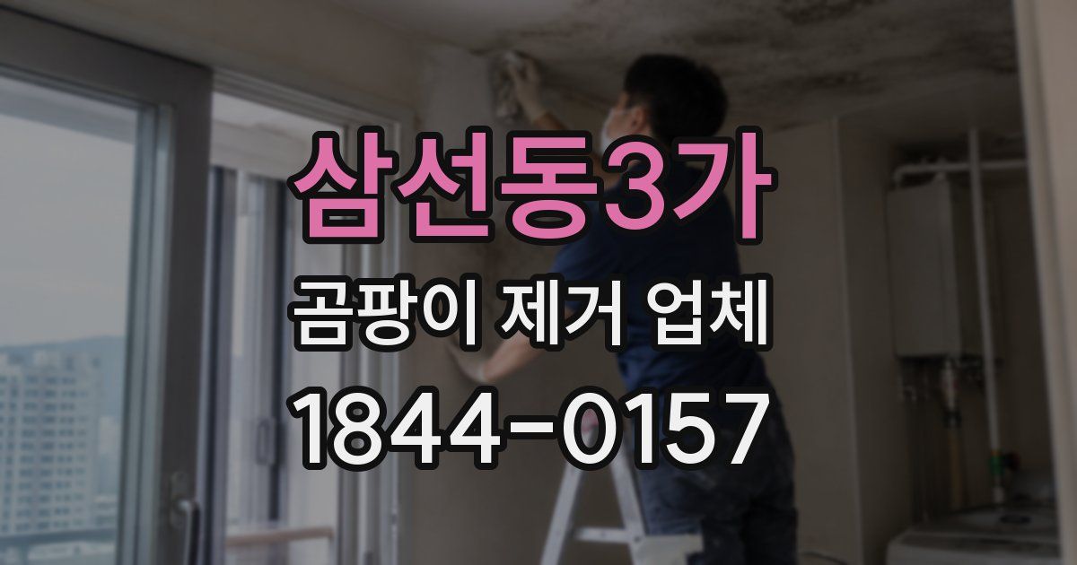 삼선동3가 곰팡이 제거 업체