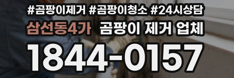 삼선동4가 곰팡이 제거 업체