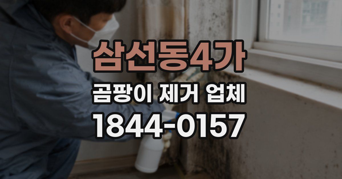 삼선동4가 곰팡이 제거 업체