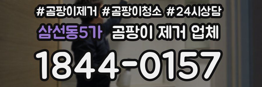 삼선동5가 곰팡이 제거 업체