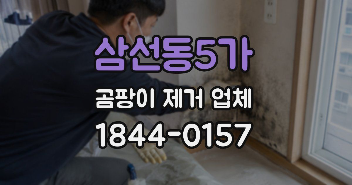 삼선동5가 곰팡이 제거 업체