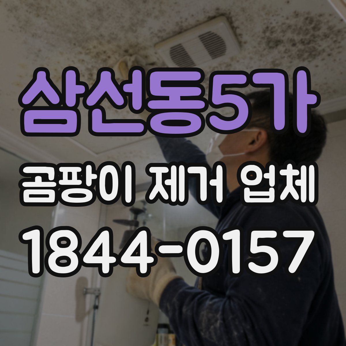 삼선동5가 곰팡이 제거 업체