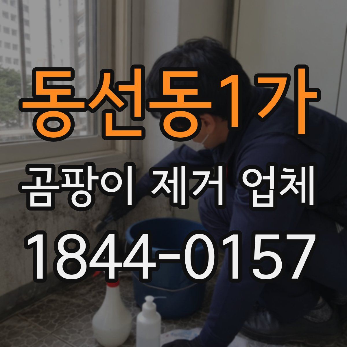 동선동1가 곰팡이 제거 업체