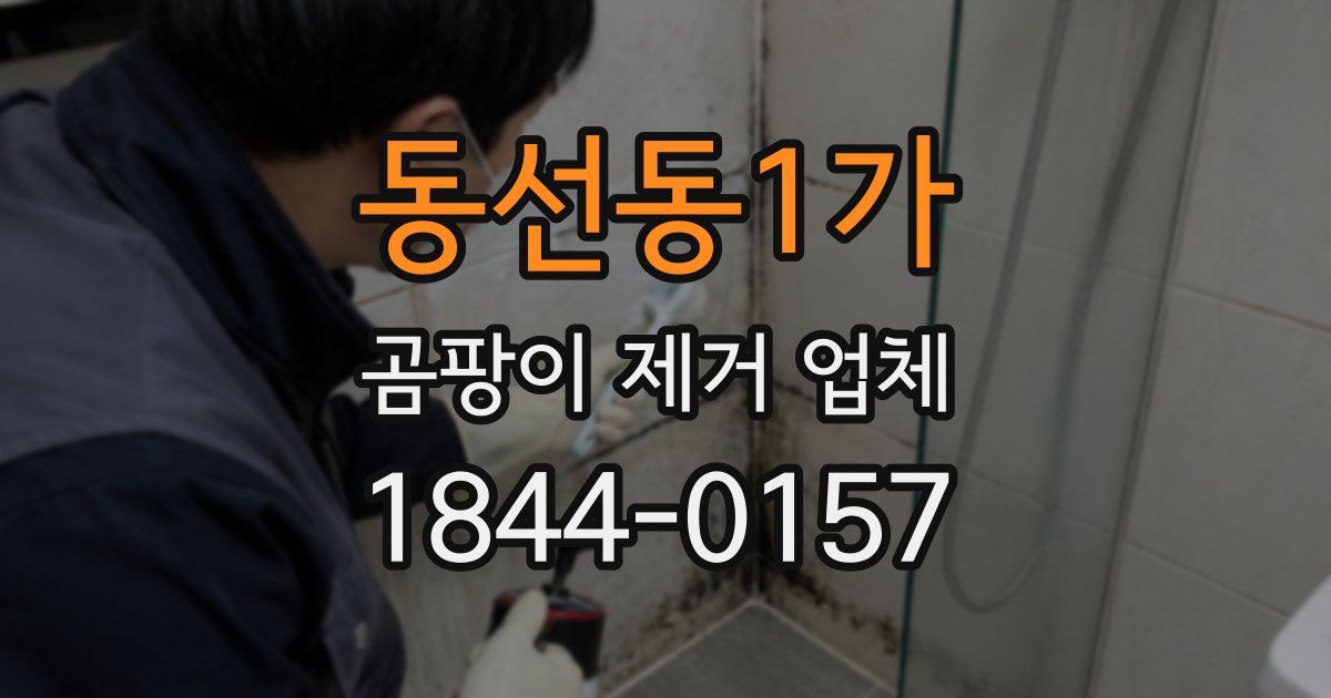 동선동1가 곰팡이 제거 업체