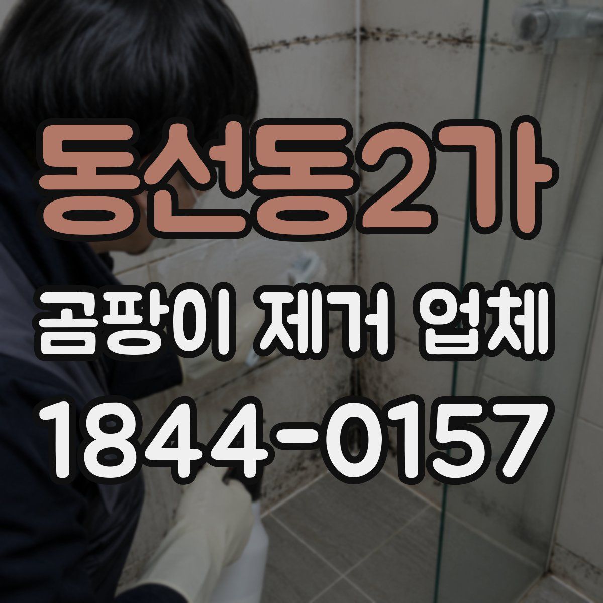 동선동2가 곰팡이 제거 업체