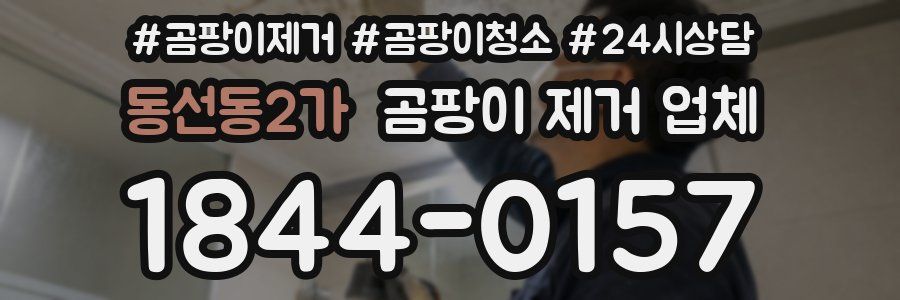 동선동2가 곰팡이 제거 업체