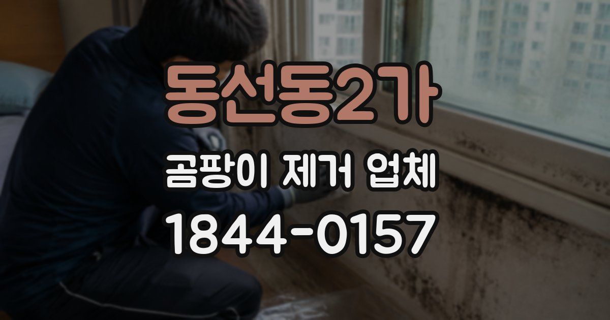 동선동2가 곰팡이 제거 업체