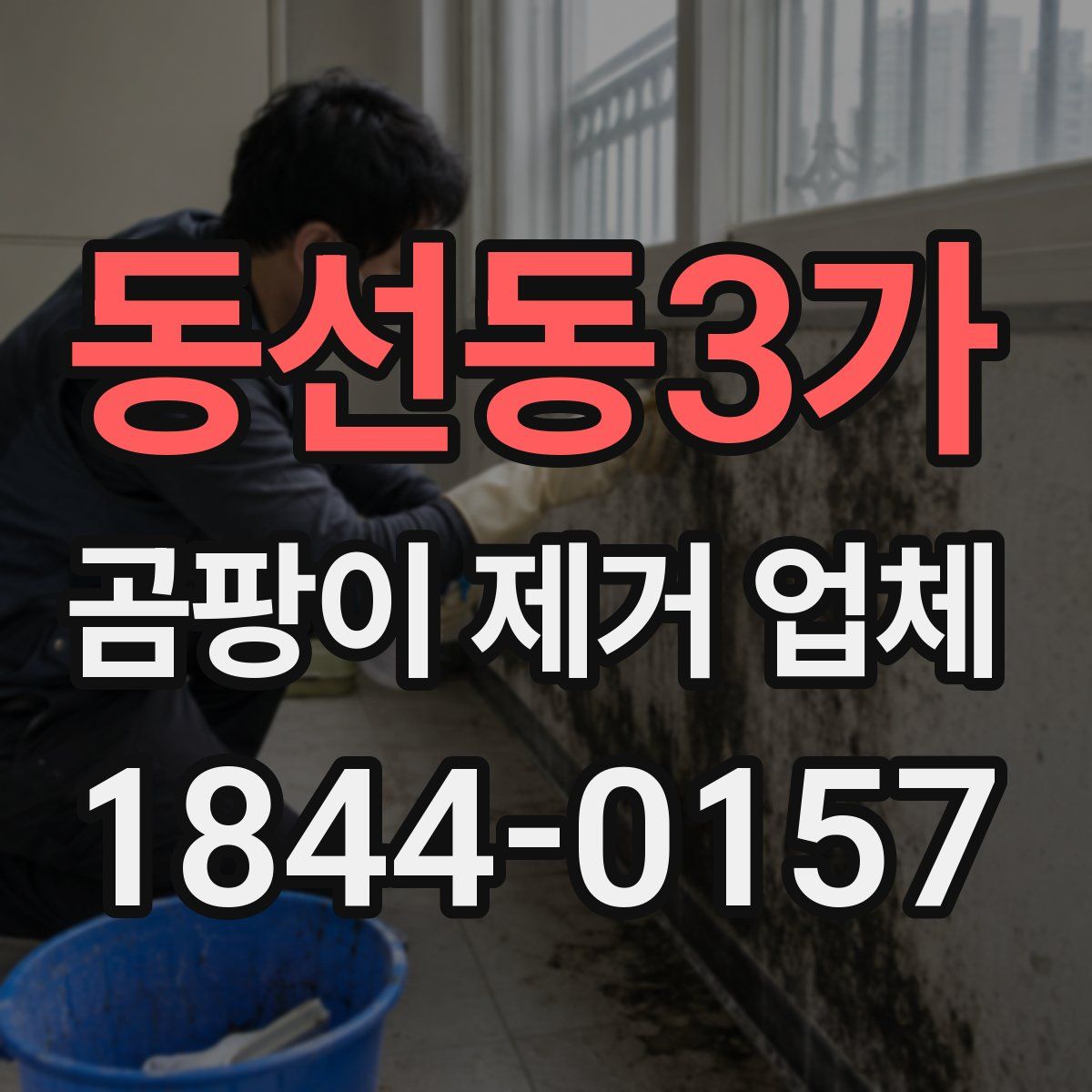 동선동3가 곰팡이 제거 업체