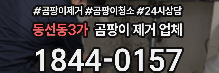 동선동3가 곰팡이 제거 업체