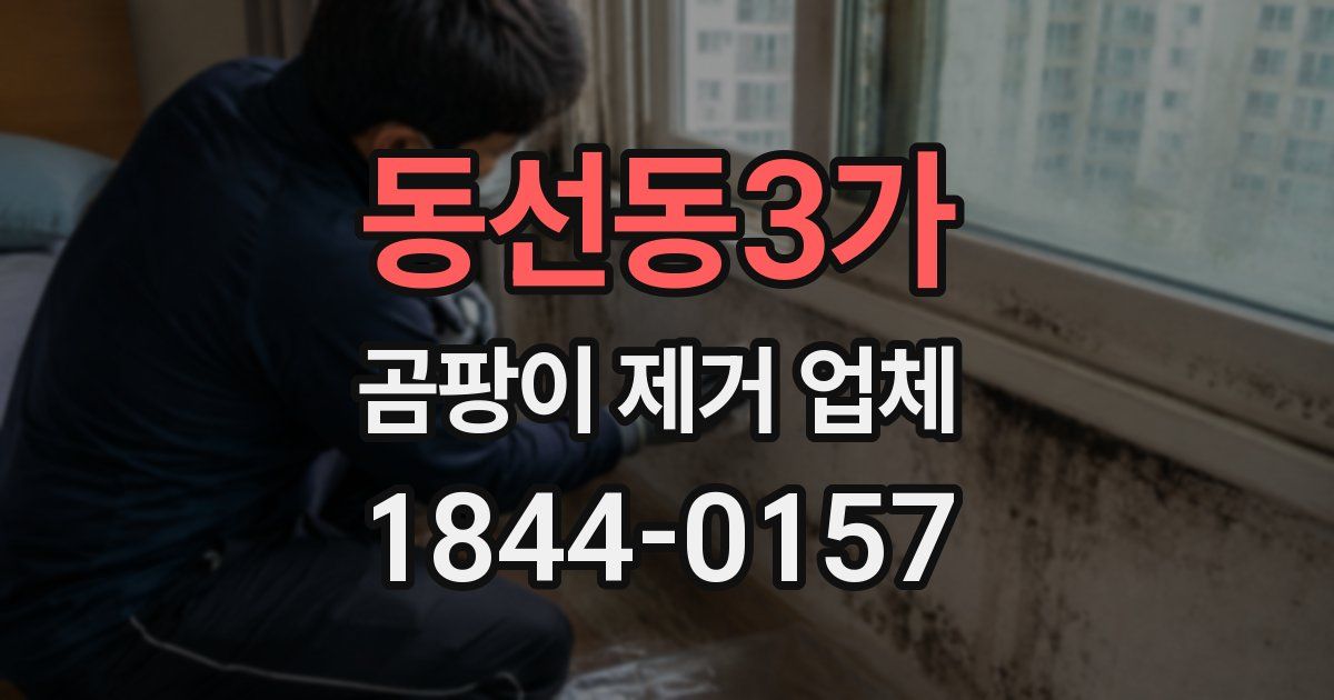 동선동3가 곰팡이 제거 업체