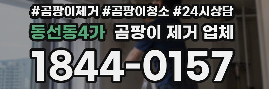 동선동4가 곰팡이 제거 업체