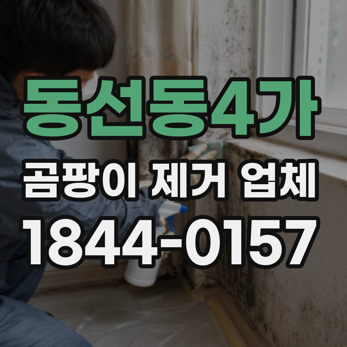 동선동4가 곰팡이 제거 업체
