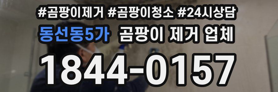 동선동5가 곰팡이 제거 업체
