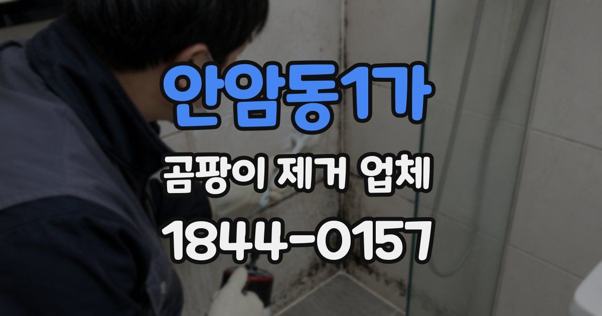 안암동1가 곰팡이 제거 업체