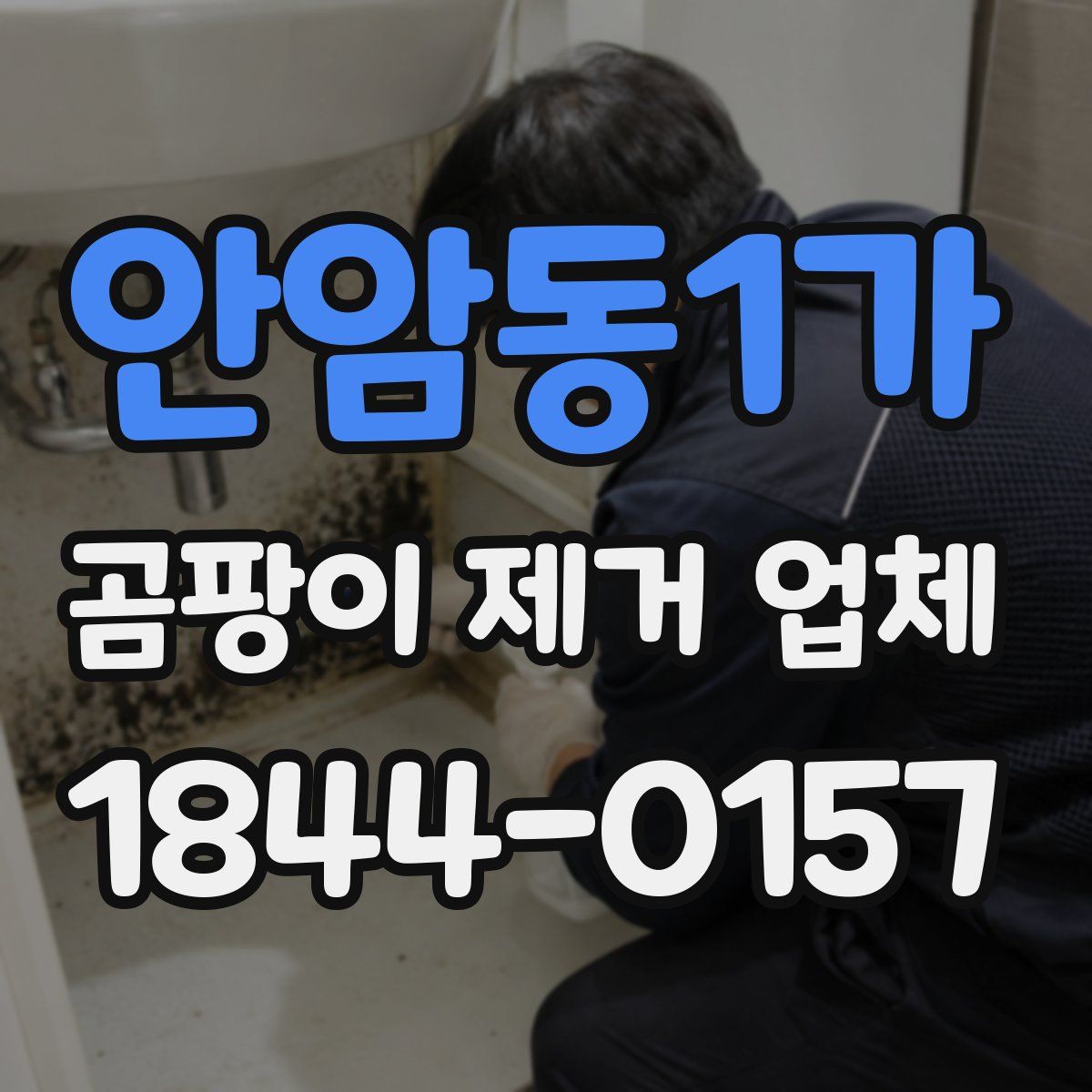 안암동1가 곰팡이 제거 업체