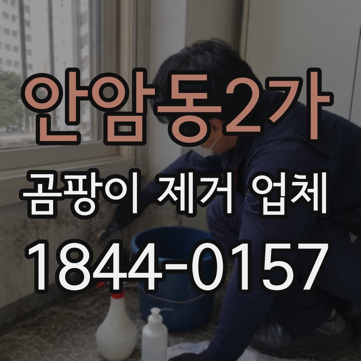 안암동2가 곰팡이 제거 업체