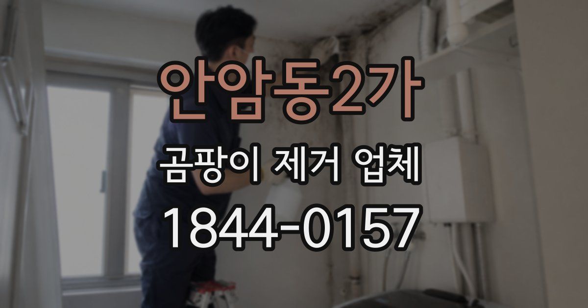 안암동2가 곰팡이 제거 업체