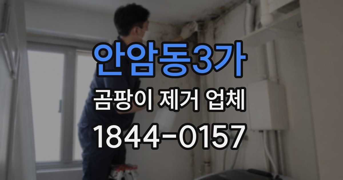 안암동3가 곰팡이 제거 업체