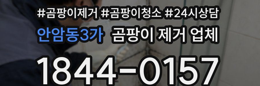 안암동3가 곰팡이 제거 업체