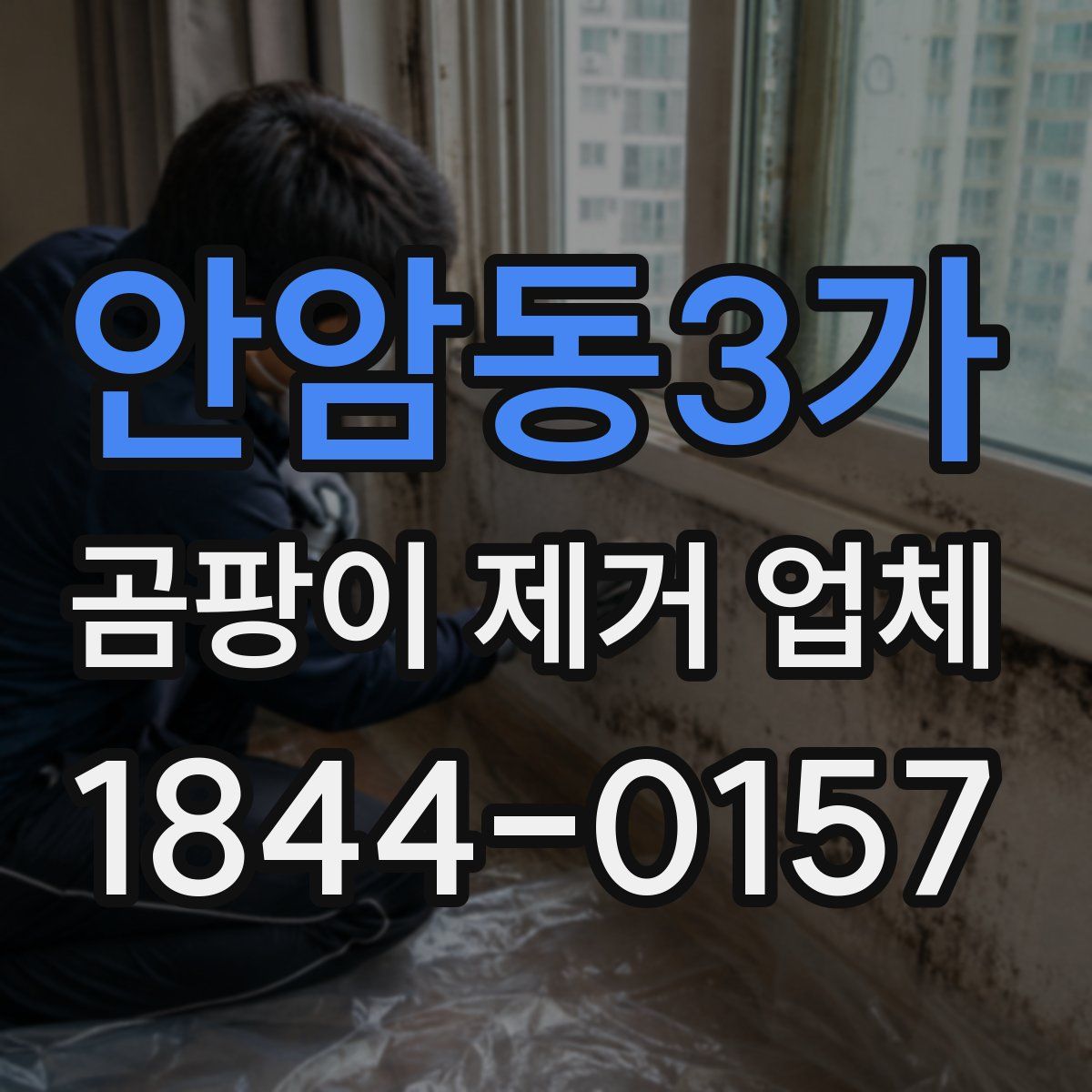 안암동3가 곰팡이 제거 업체