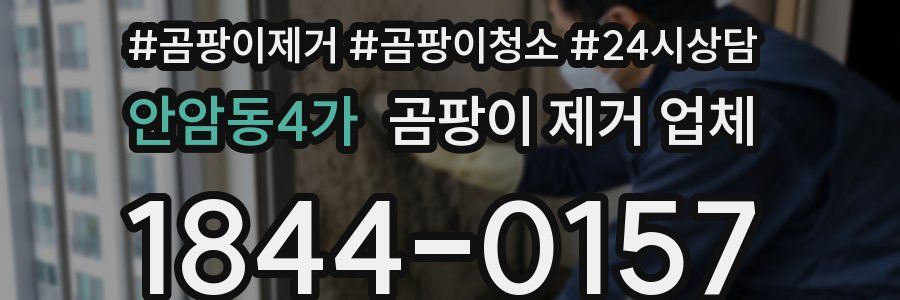 안암동4가 곰팡이 제거 업체