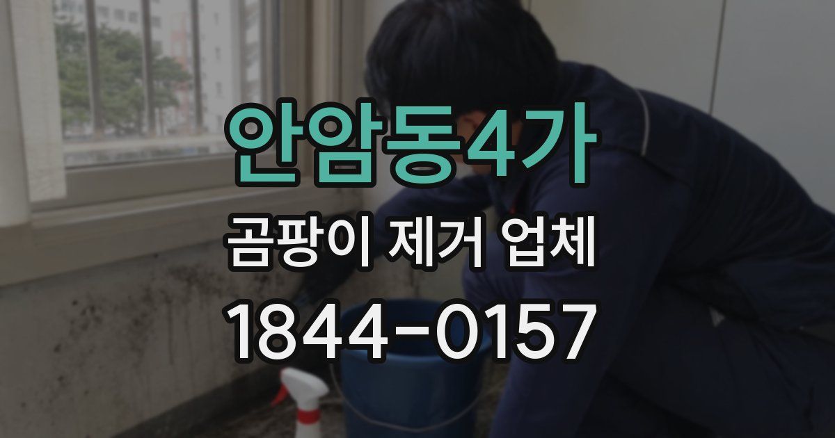 안암동4가 곰팡이 제거 업체