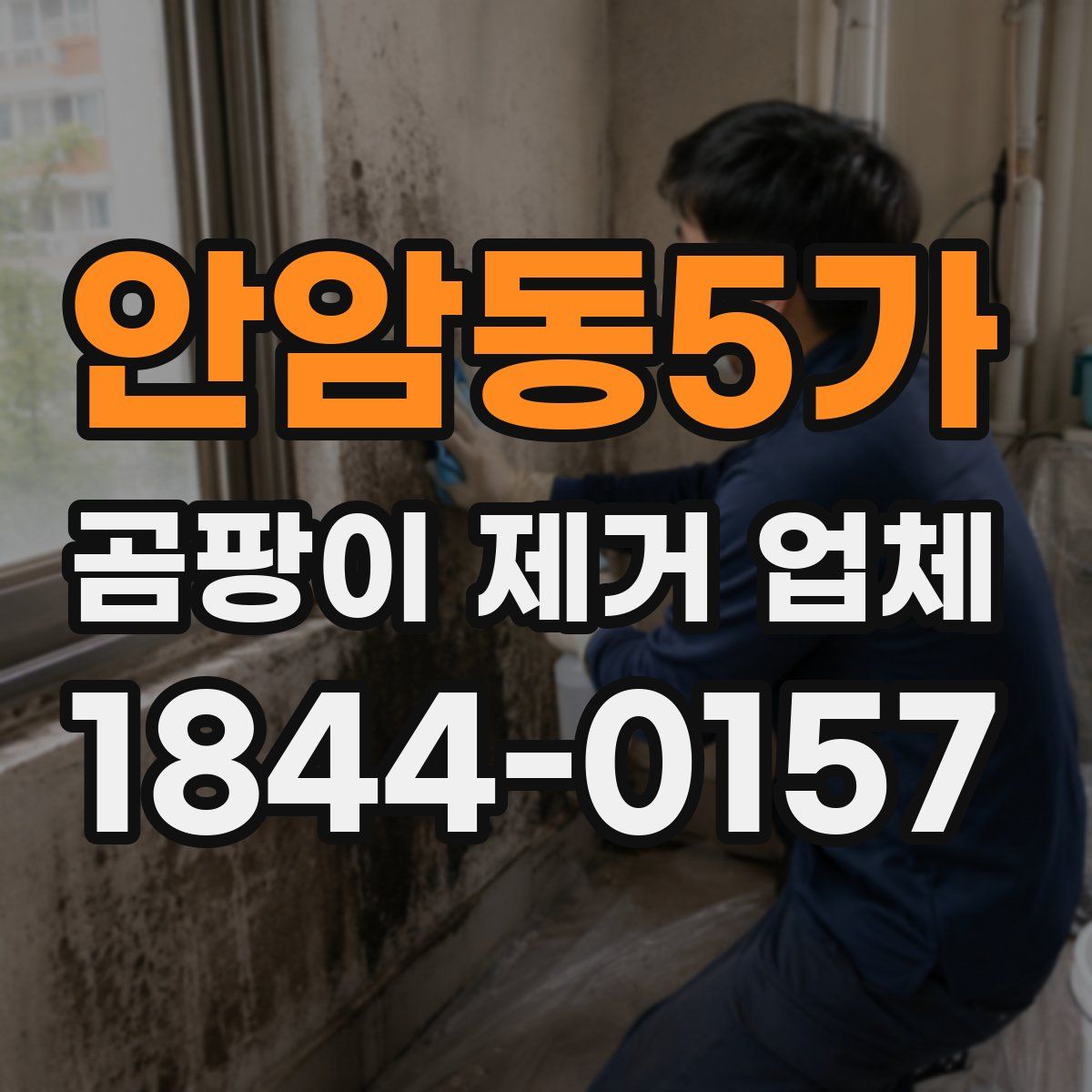 안암동5가 곰팡이 제거 업체