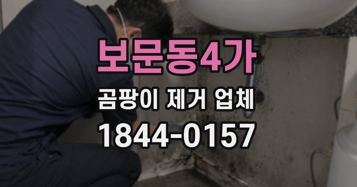 보문동4가 곰팡이 제거 업체