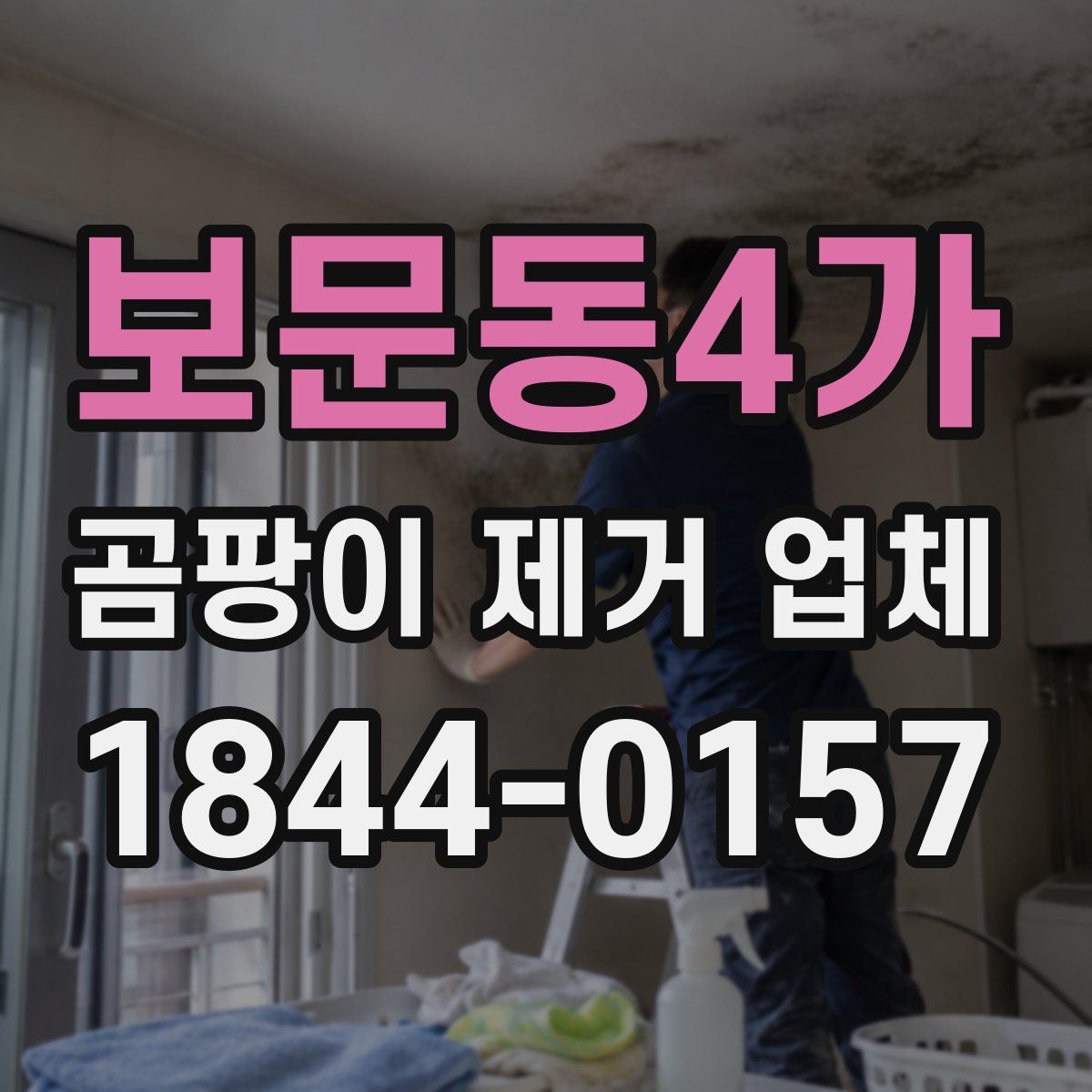 보문동4가 곰팡이 제거 업체
