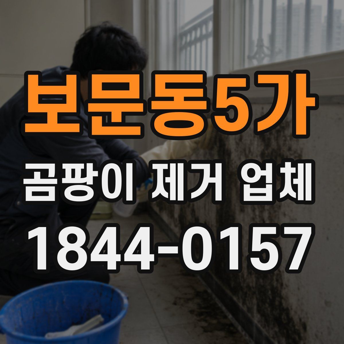 보문동5가 곰팡이 제거 업체