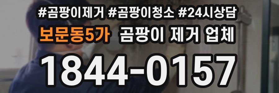 보문동5가 곰팡이 제거 업체