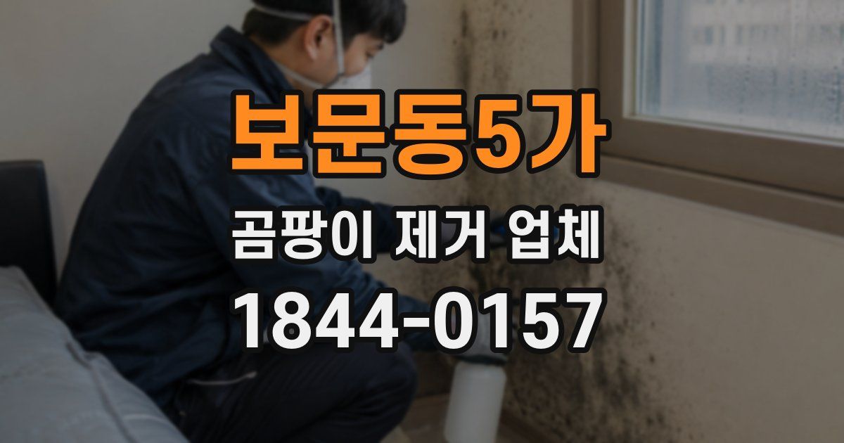보문동5가 곰팡이 제거 업체