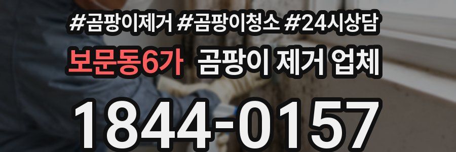 보문동6가 곰팡이 제거 업체