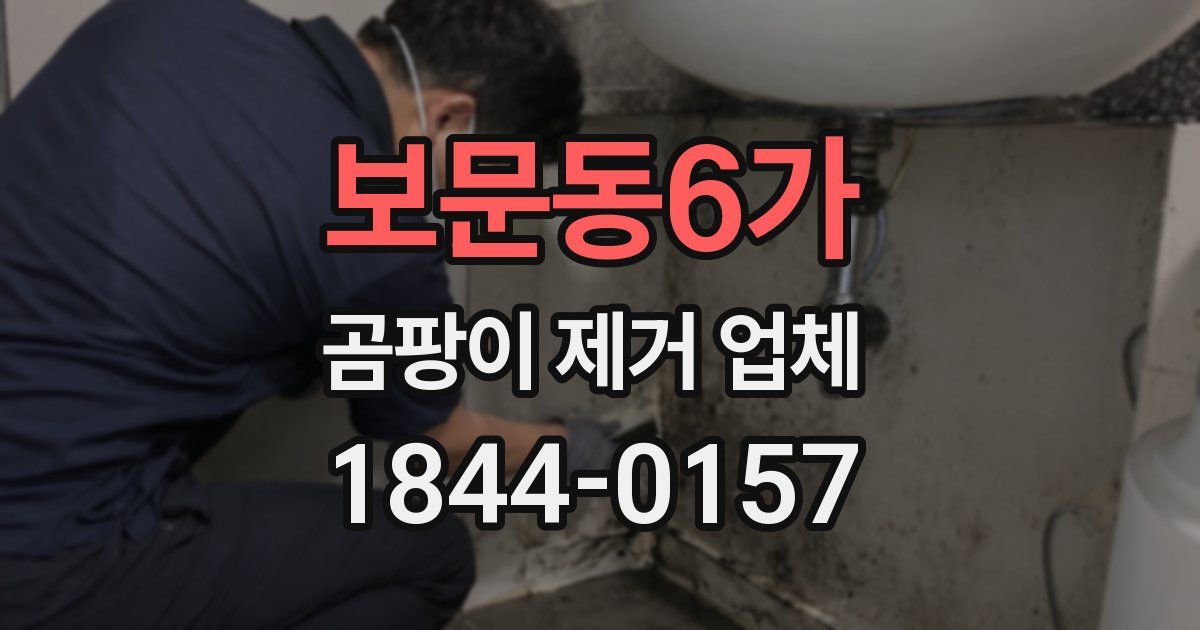 보문동6가 곰팡이 제거 업체