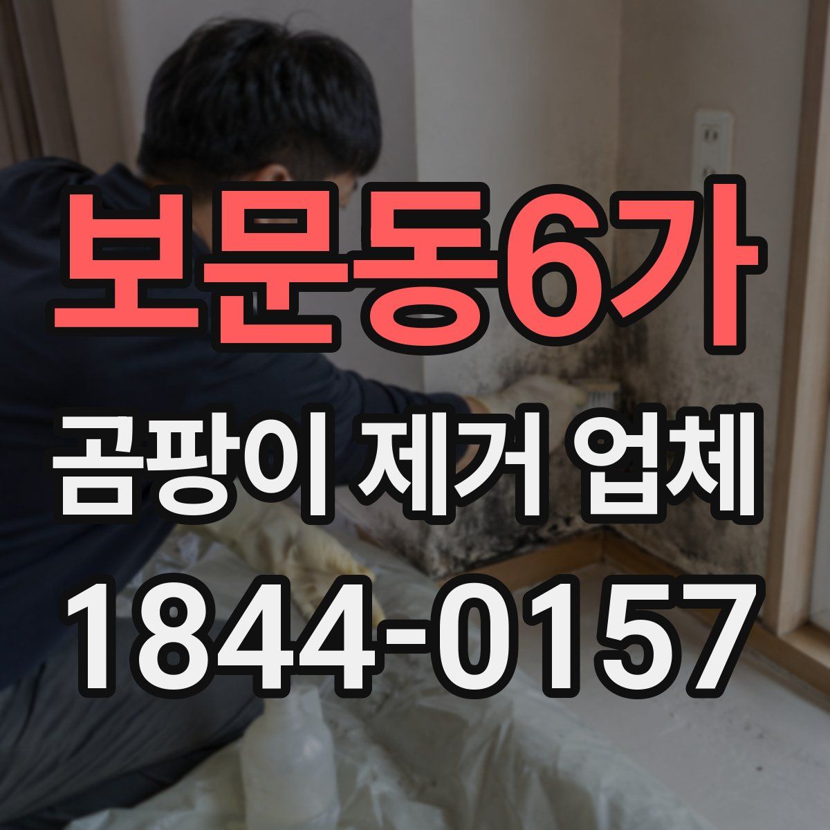 보문동6가 곰팡이 제거 업체