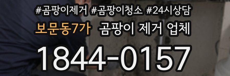 보문동7가 곰팡이 제거 업체