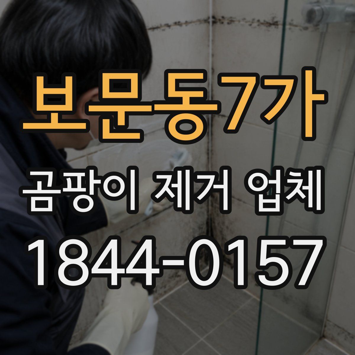 보문동7가 곰팡이 제거 업체