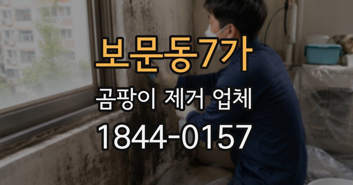 보문동7가 곰팡이 제거 업체