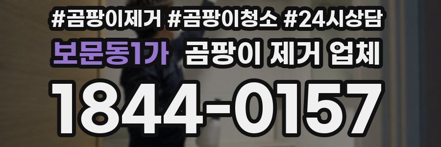 보문동1가 곰팡이 제거 업체